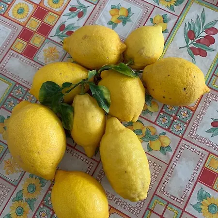 Apartment Casa Vincenzo